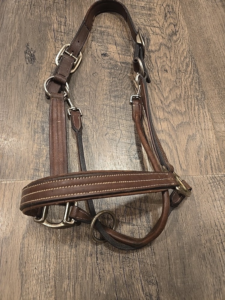 horse halter
