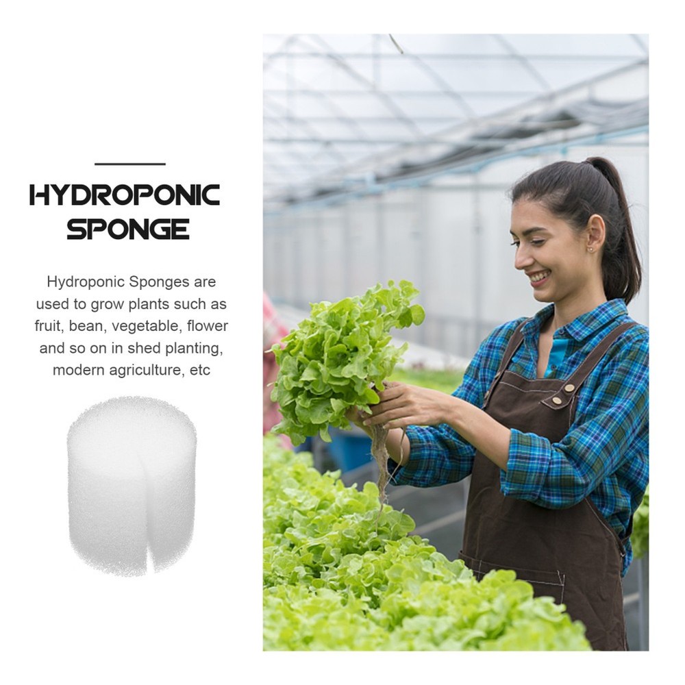100Pcs Vegetable Cultivation System Gardening Tools Moisturized Planting Sponge