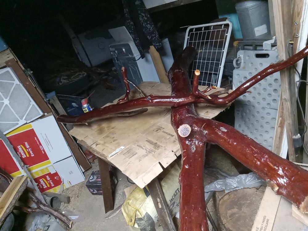 manzanita wood