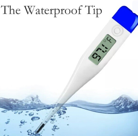 QQcute Digital Body Thermometer - Clinical Basic Thermometer Waterproof Tip