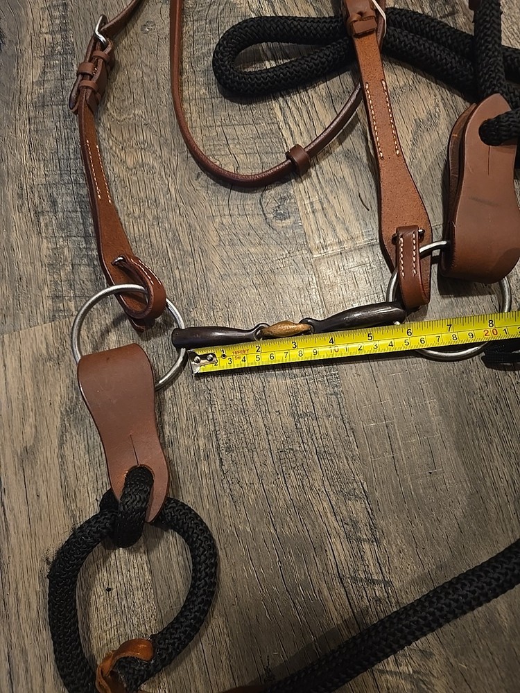western headstall and reins