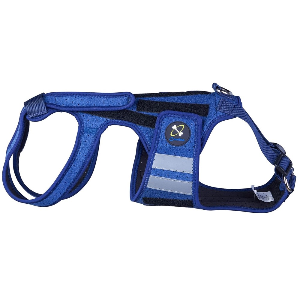 Reflective Dog Back Bracer for Arthritis Relief, Blue-Medium