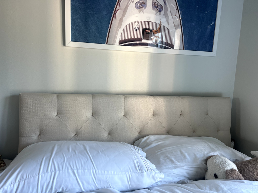 Aijha Upholstered Panel Headboard