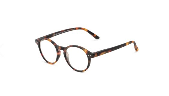 Foster Grant EZ2C Reading Glasses with Case PARKER TOR