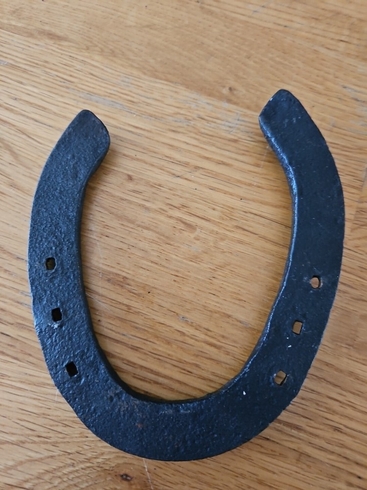 Black Decorative Horse Shoes