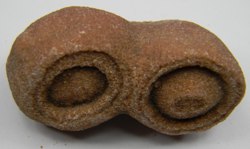 Stromatolite Fossil Morocco Medium 44.14 grams