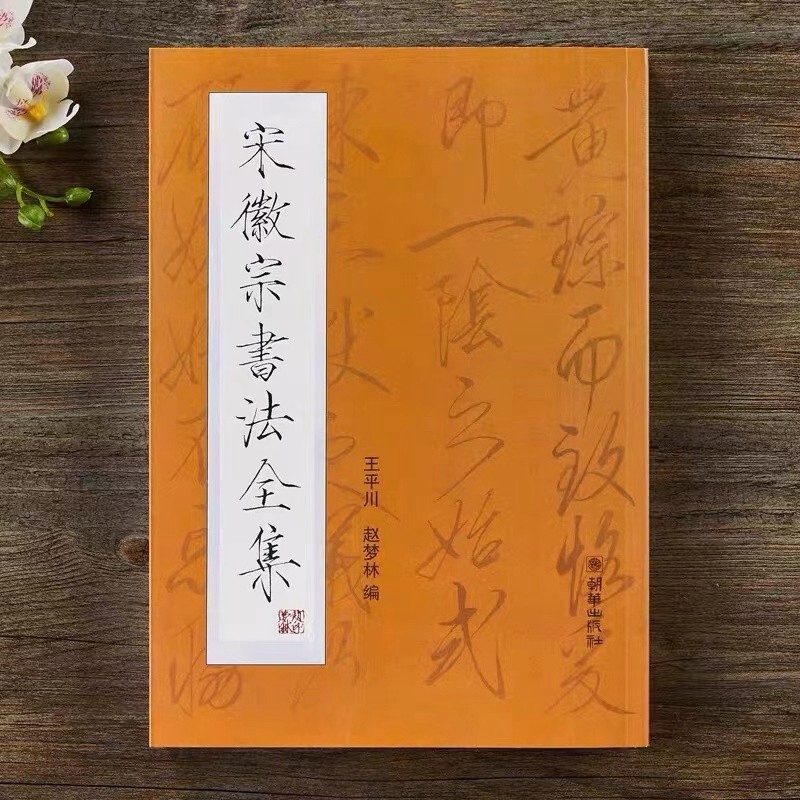 Chinese Calligraphy Copybook Pen Write