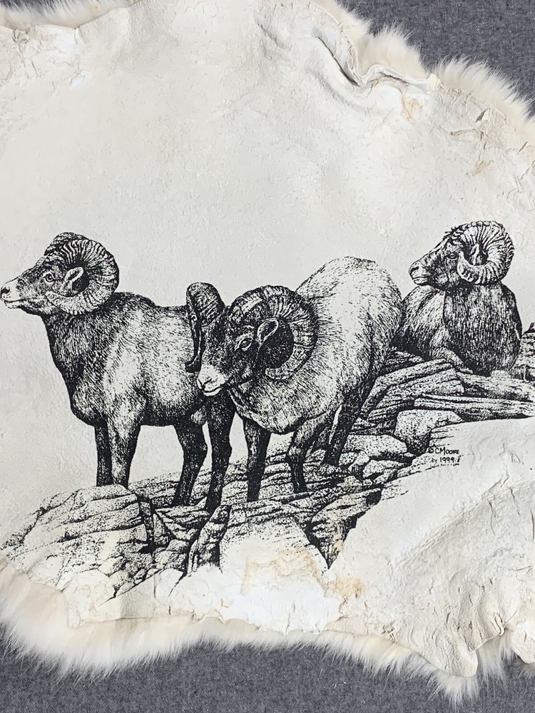 Printed Rabbit Pelt: Big Horn Sheep