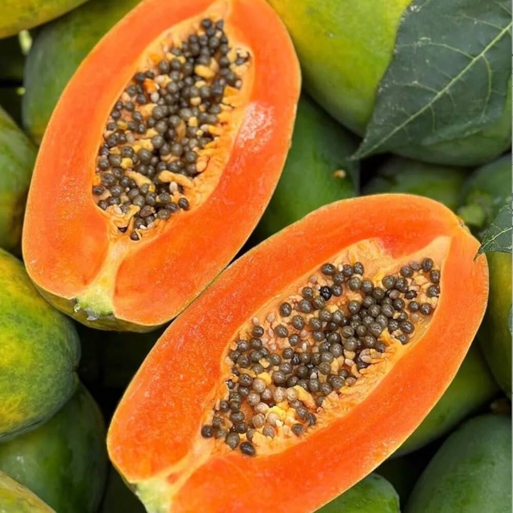 FirstChoiceCandy Dried Tropical Fruit ,Papaya Chunks