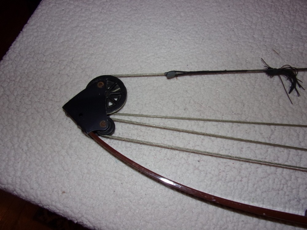 Bear Whitetail Hunter Vintage Compound Bow