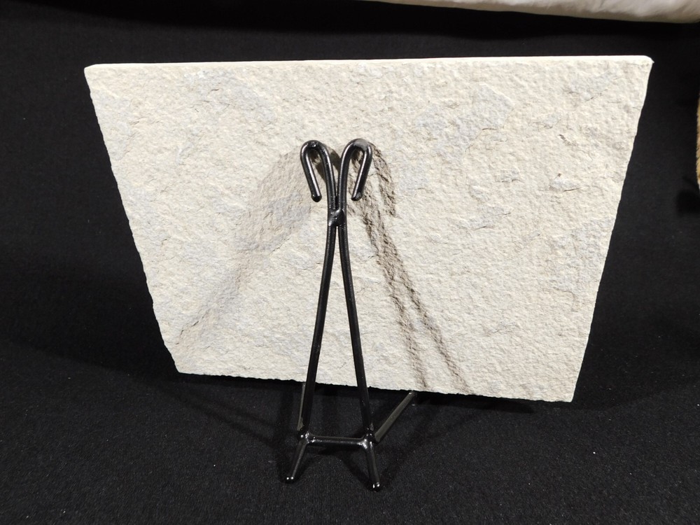Easel Display Stand with Scroll Design! Black Iron Medium Size