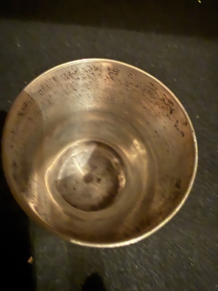 P. Hertz Silver Cup