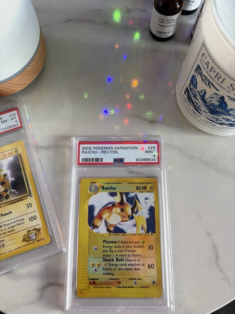 Raichu Expedition Base Set Bundle