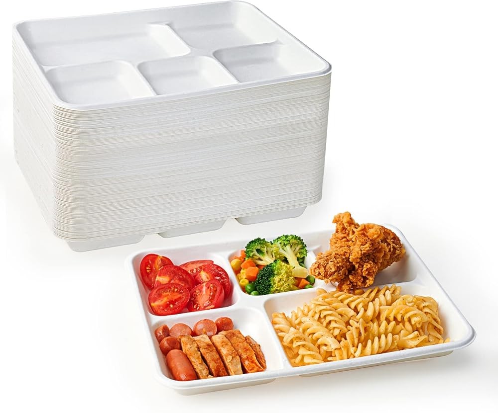 postable 5 partment Plates, Disposable Paper Plates,