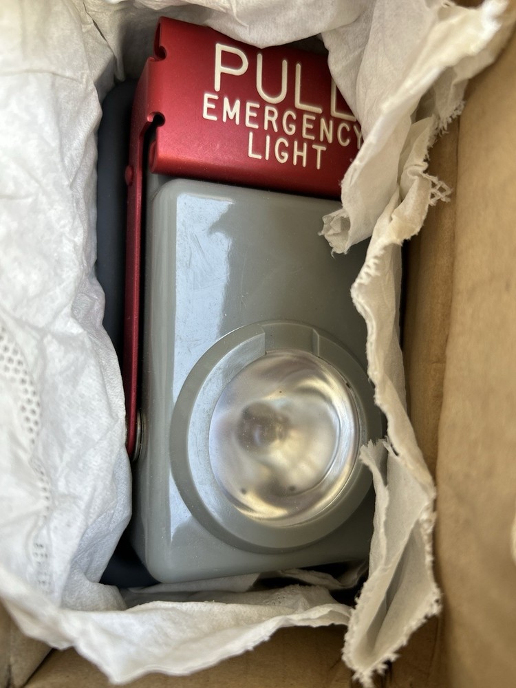 10-0055-3 Grimes Emergency Pull Light Assembly