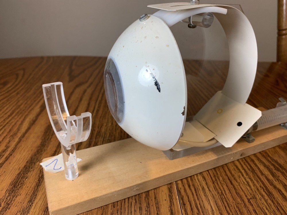 Leno Lab Sweden Functioning Eye Model Optometrist School Educational Tool #2