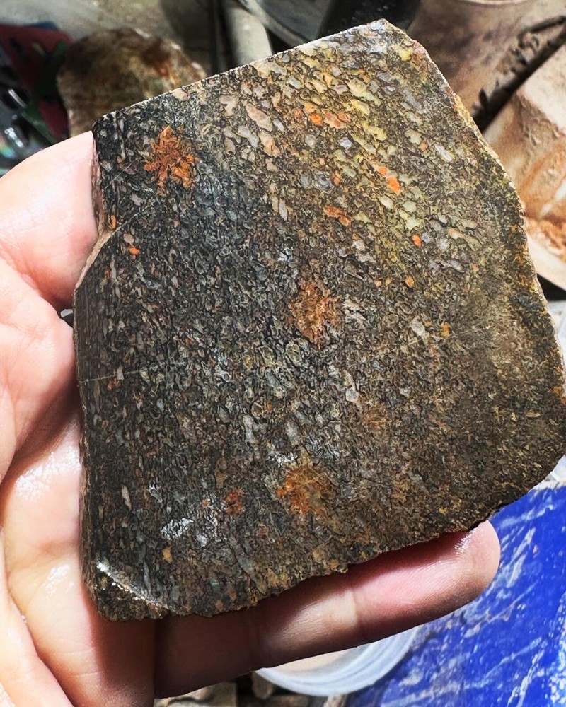 Dinosaur bone rough slab.