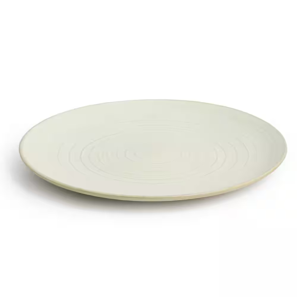 (12 Piece) Dreamweaver round Earthenware Dinnerware Set in Matte White