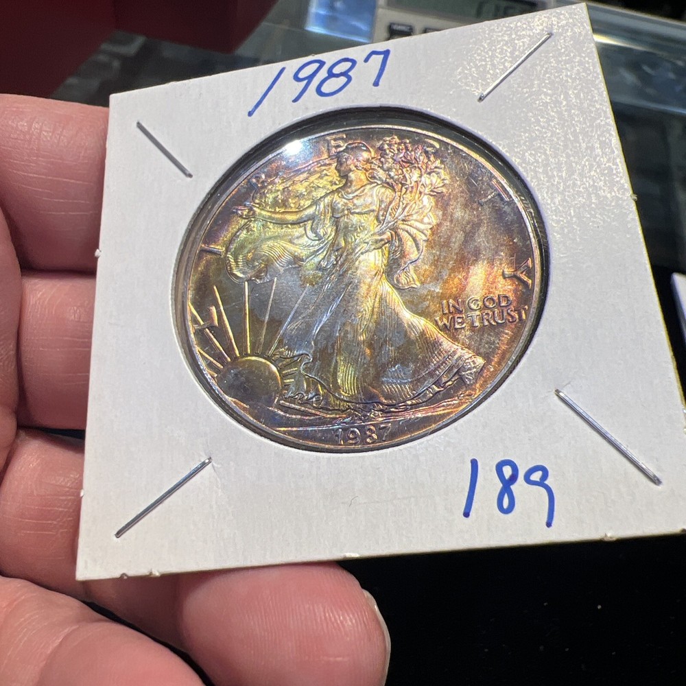 1987 American Silver Eagle 1 oz .999 Silver - Beautiful Obverse & Reverse Toning