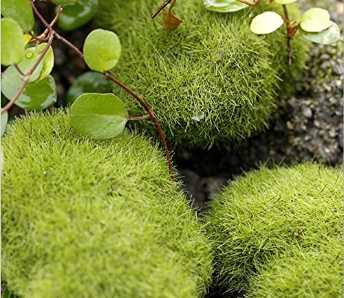 Erioctry 6 Pieces Assorted Sized Artificial Green Moss Rock Ball G