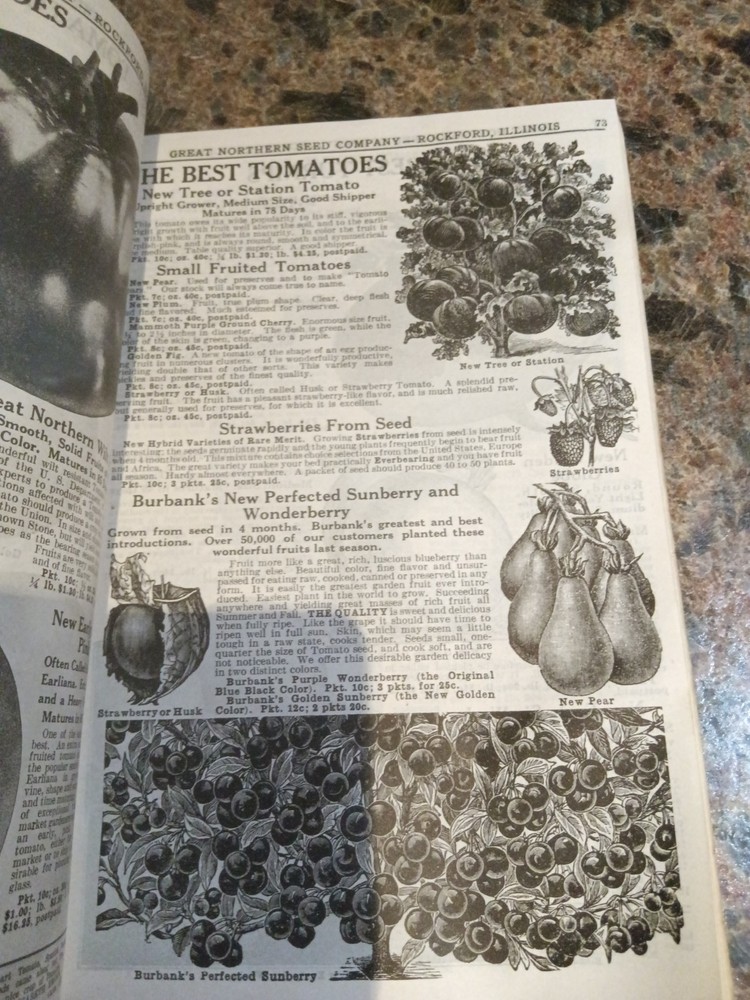 Vintage 1933 Great Northern Seed Catalog