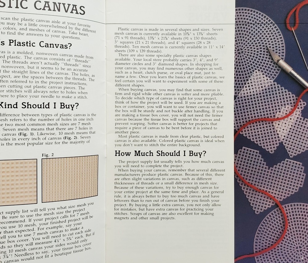 Everything You Need To Know Plastic Canvas Patterns Lessons By Leisure Arts