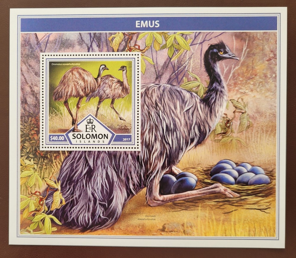 Solomon Island 2017 / Birds - Emus / 1v ms