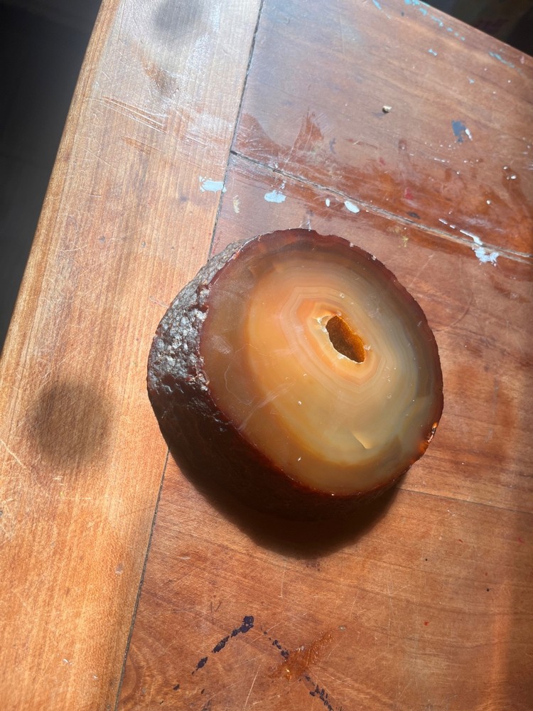petrified wood
