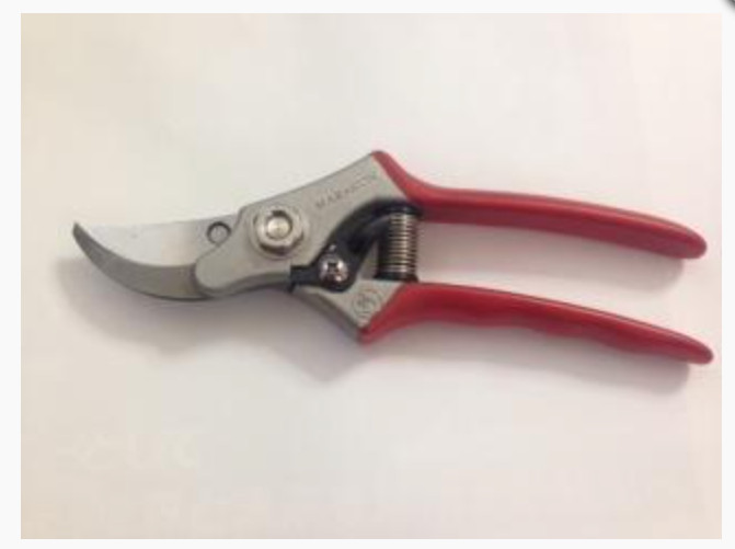 MASAKUNI Bonsai Tool [No.2010] – Professional Compact Pruning Shears (188mm) ✂️