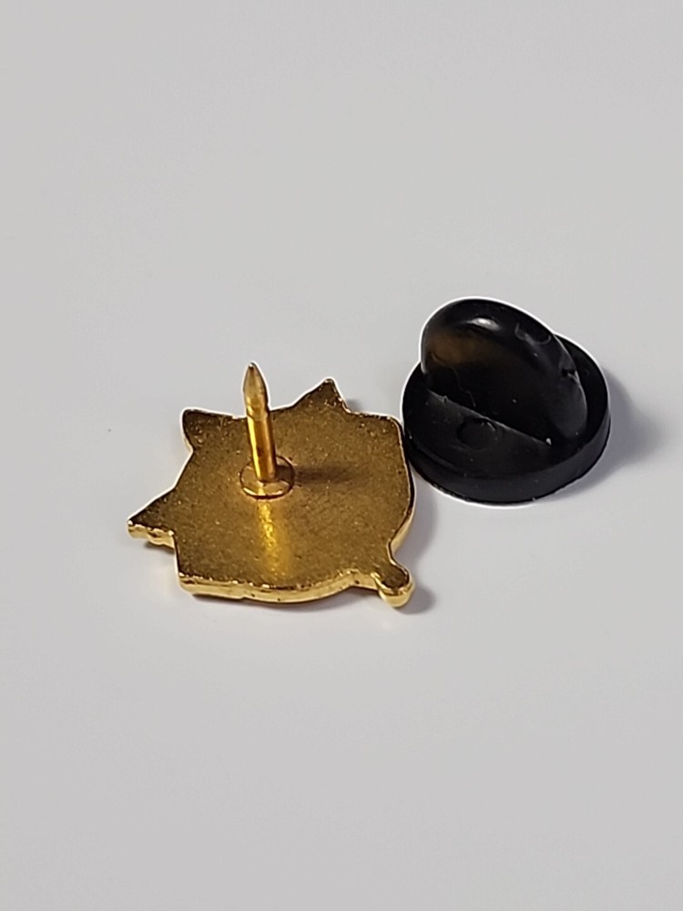 Study Skills Recognition Award Lapel Pin