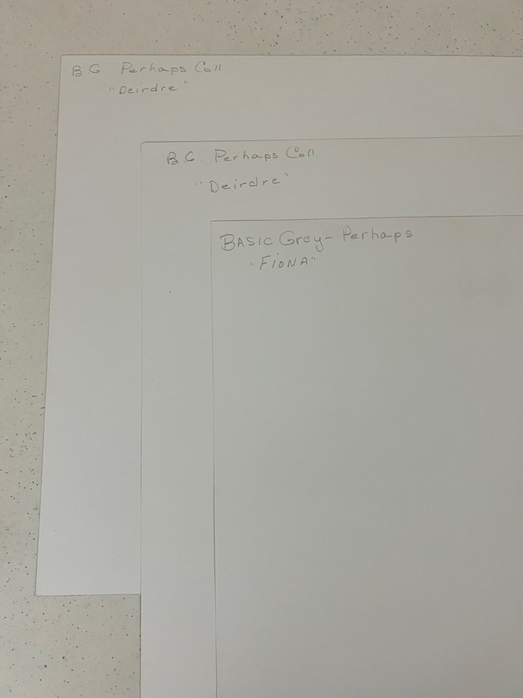 Basic Grey Perhaps 14 Sheets 12"x12", Stickers, Die Cut Alphas & Tags - READ