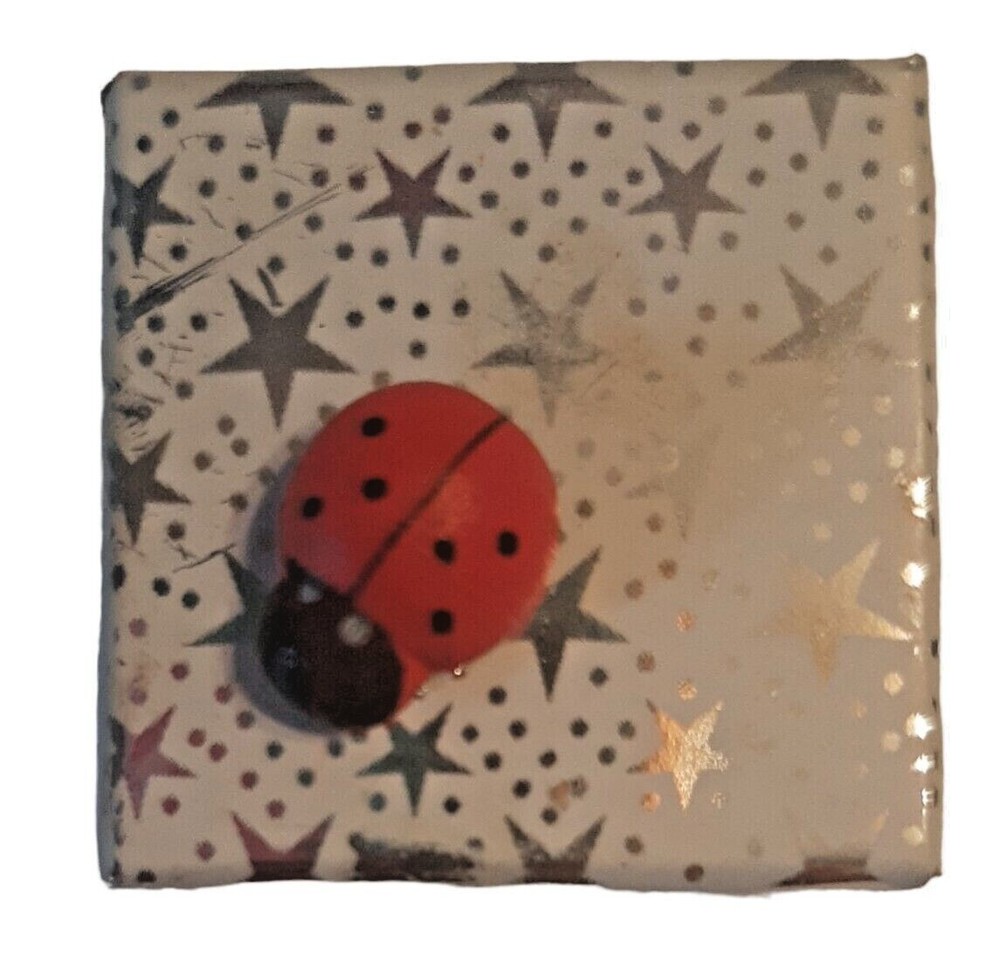 Tiny Ladybug Gift Box Empty 1.25 Inches Square Silver Stars