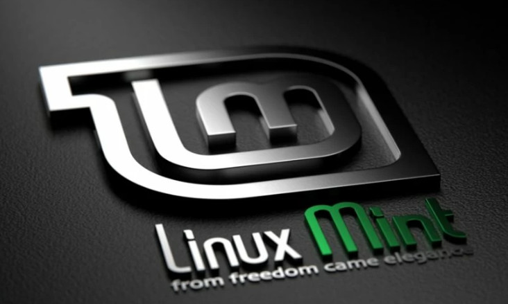 Linux Mint 22.1 Xia Cinnamon USB Drive – Premium Quality, Same-Day Shipping!2025