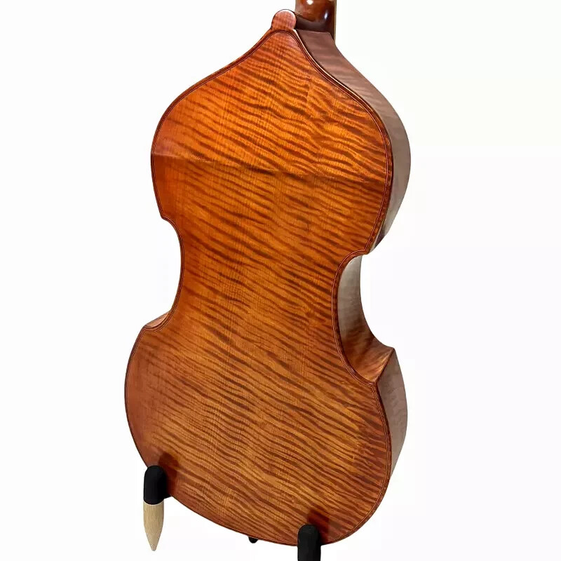Brown 6 string viola da gamba 29",Professional Viol,Whole maple back,Great sound