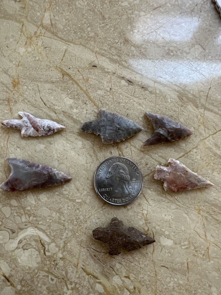 Mexican Arrowheads