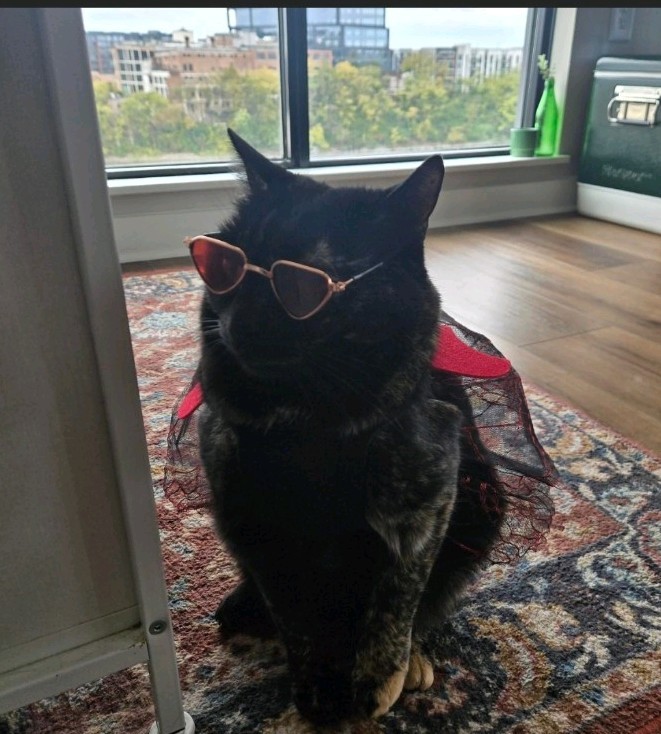 Cat Halloween Costume For pet