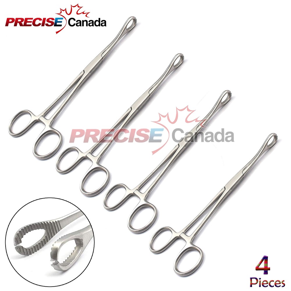 4 Pcs Sponge Forceps 7" Straight Slotted Jaws Surgical Body Piercing Tools