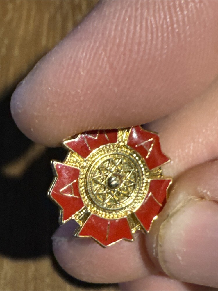 AMA 17 Year Member Pin