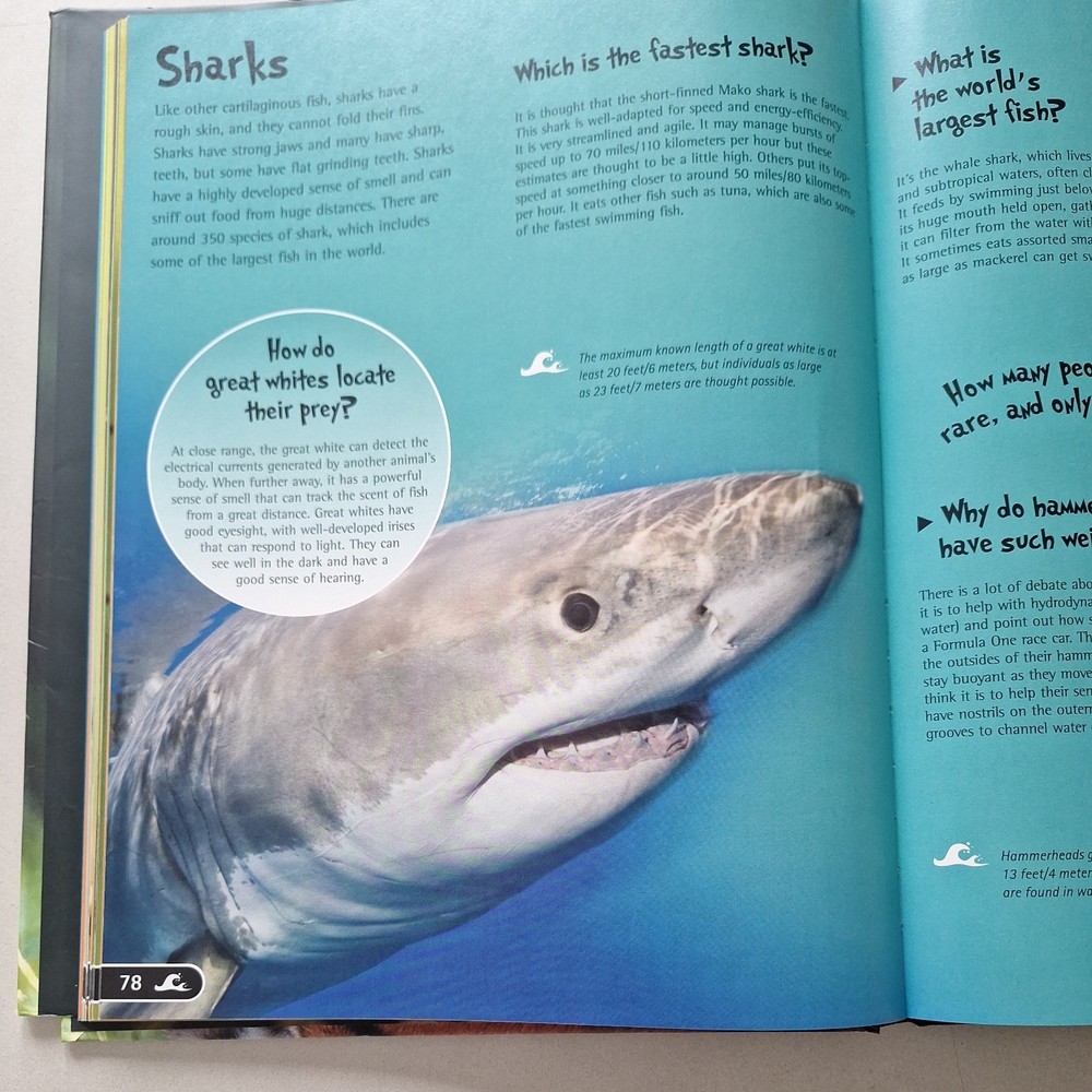 Animals Encyclopedia (Encyclopedia S.)