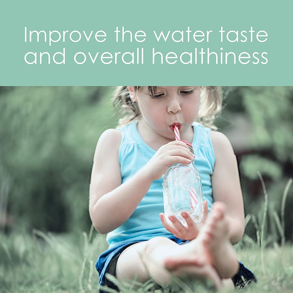 WD-G3-N3CB Filter, 1-year Lifetime, Replacement for WD-G3 Reverse Osmosis System