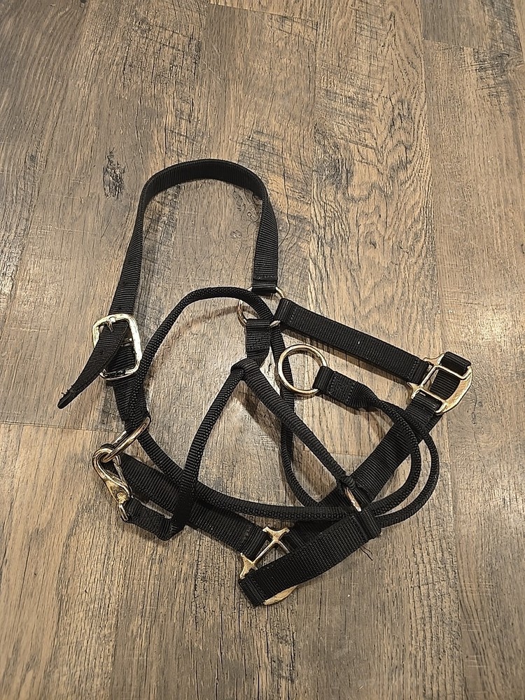 Horse Halter