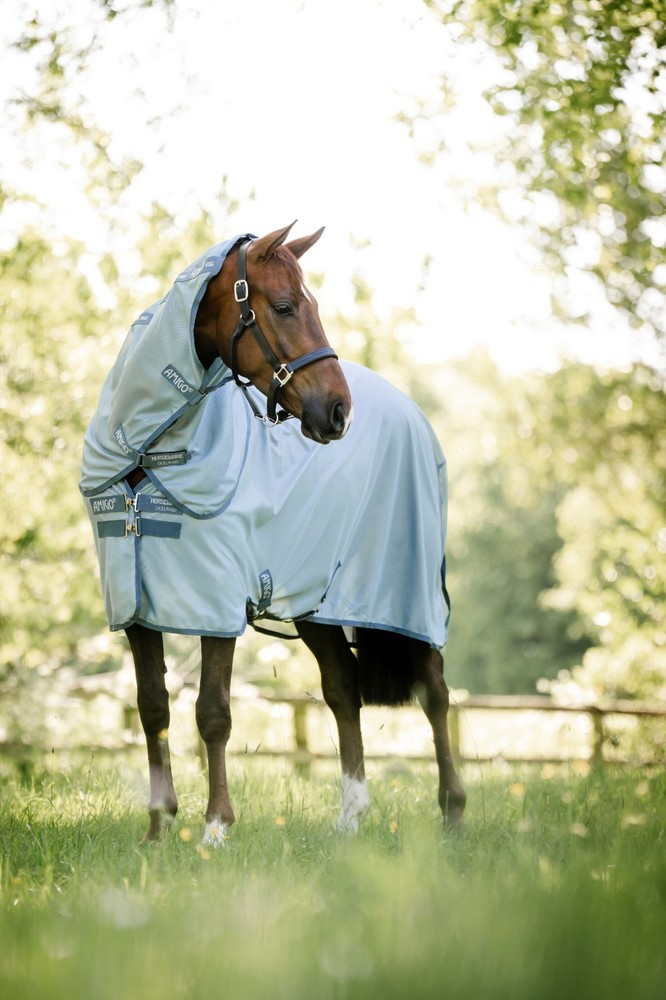 Amigo ® Bug Rug Plus Fly Sheet
