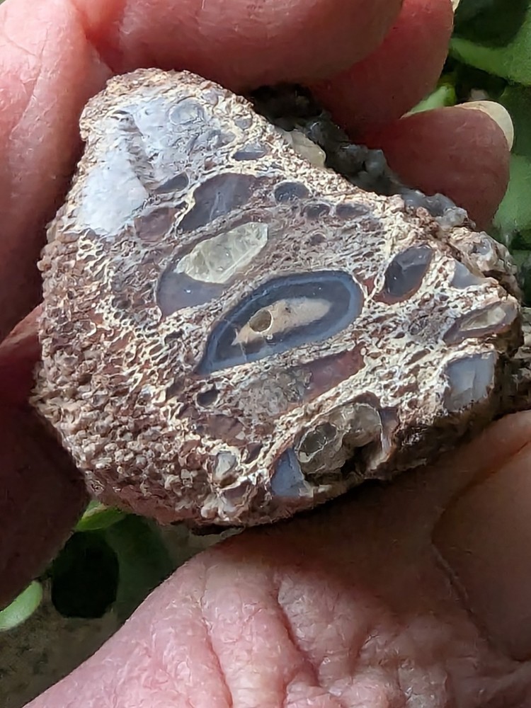 UV -Dinosaur Bone From * Polished * 2.3 oz.
