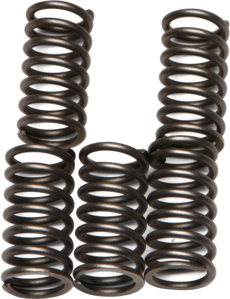 EBC Clutch Spring Set CSK56