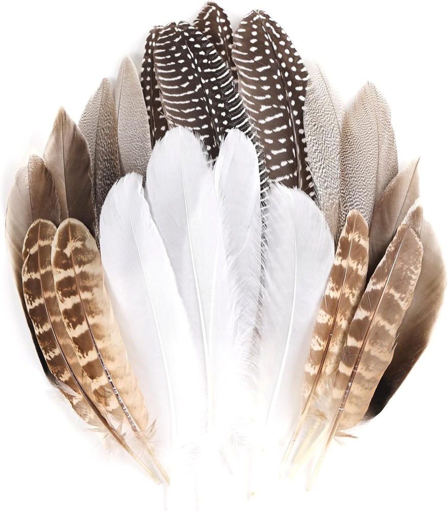 MAOFENG 20pcs Natural Pheasant Feathers Bulk 5 Styles Mixed DYQMZH-06
