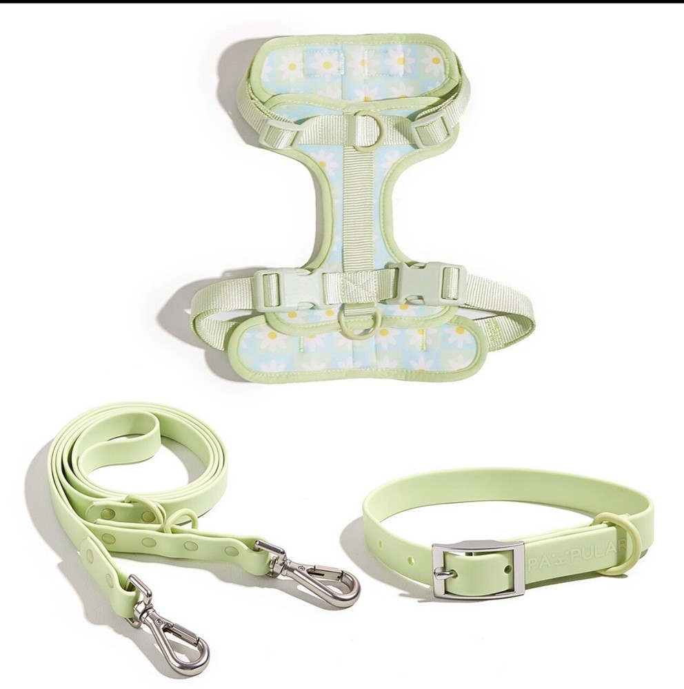 pet traction rope set