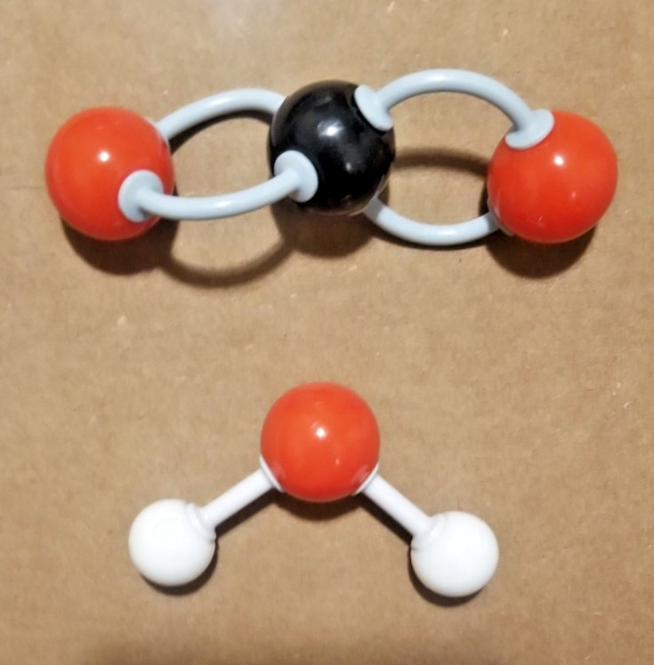 306 Piece Advanced Molecular Modeling Kit Expanded Teachers Edition Complete