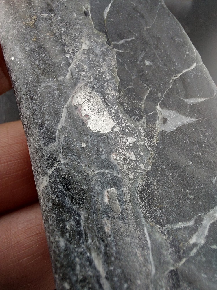 Silver Specimen