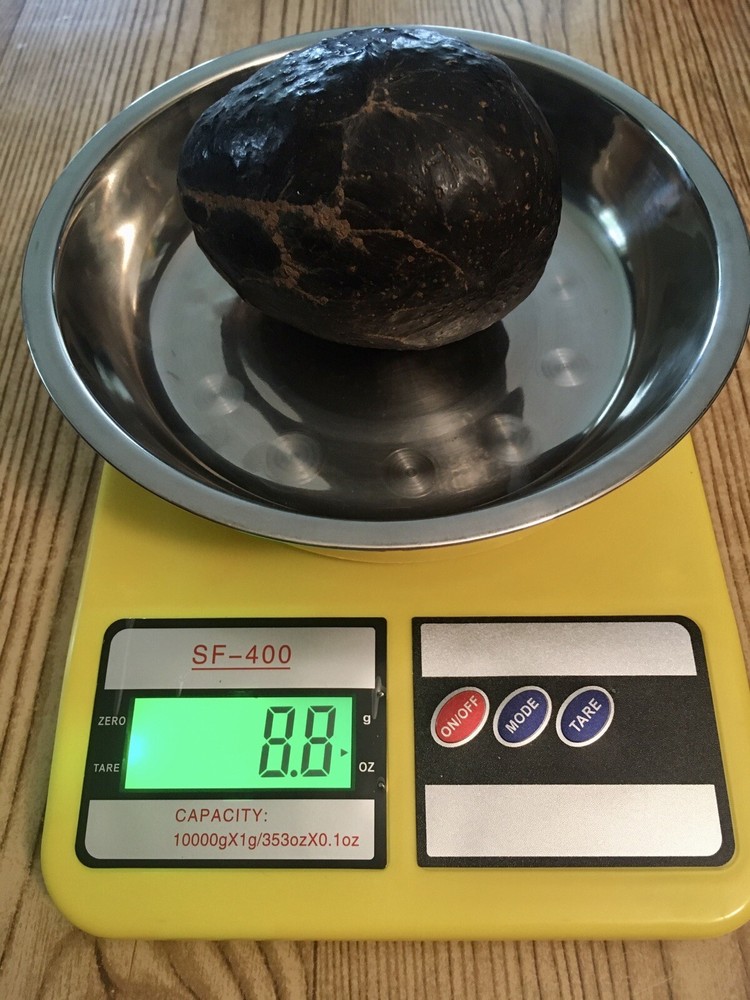 digital scale with steel less plant