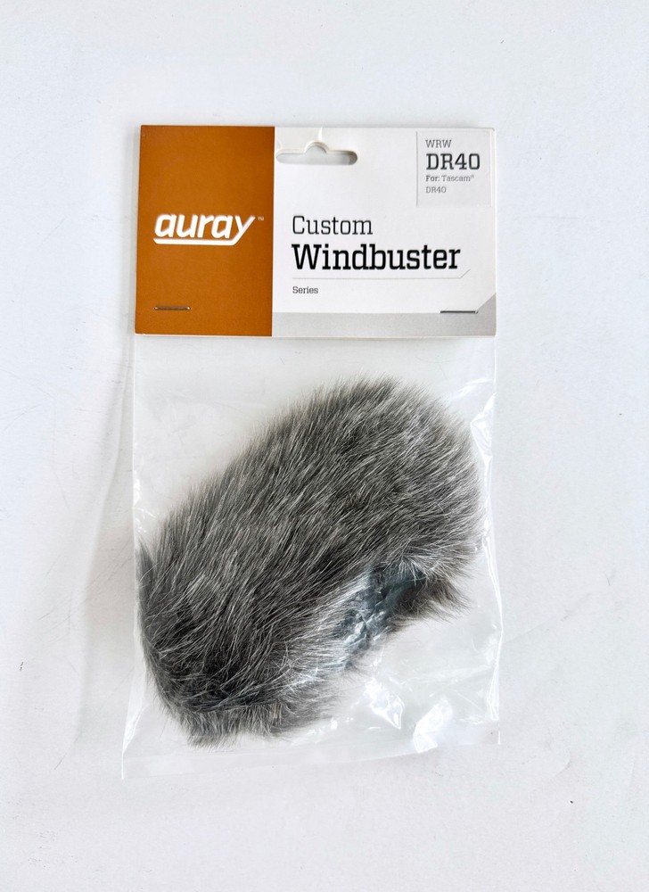 Tascam DR-40 Linear PCM Recorder